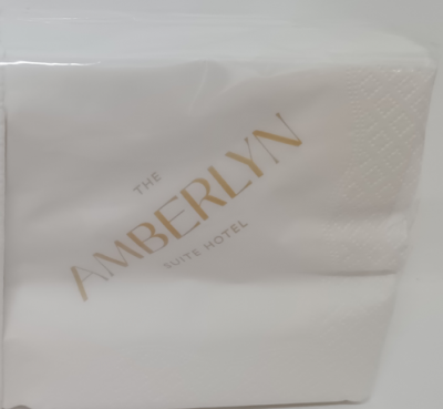 "Amberlyn" szalvéta gasztro fehér 33x33 1/8 hajt. 2rtg.